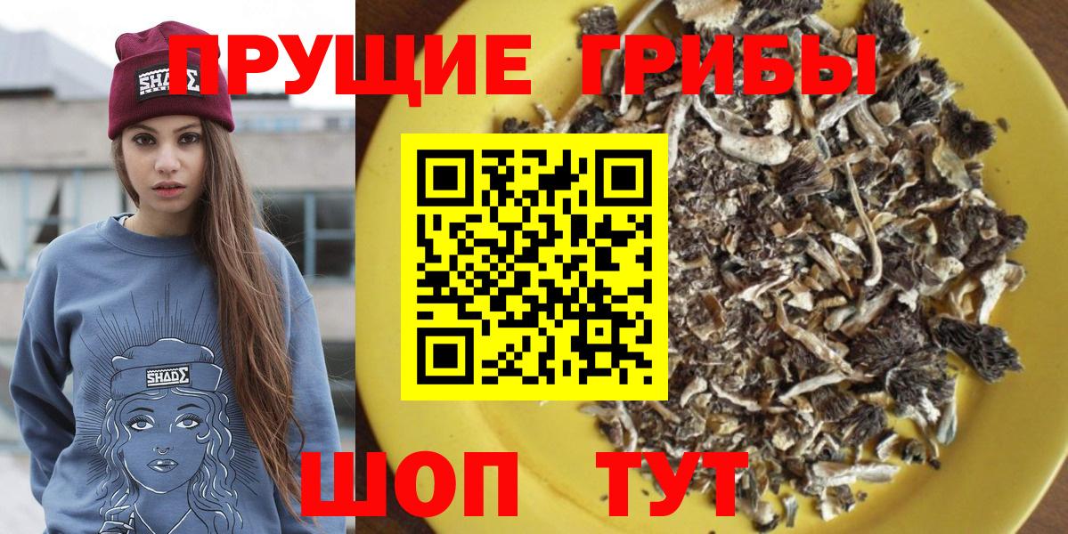 Лениногорск  закладки  Вход с VPN  Псилоцибиновые грибы MAGIC MUSHROOMS  Галлюциногенные грибы GOLDEN TEACHER 